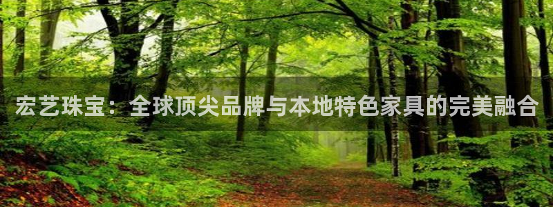 新宝5登录霸：宏艺珠宝：全球顶尖品牌与本地特色家具的完美融合