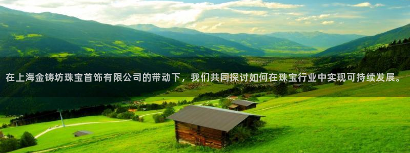 新宝5平棋牌：在上海金铸坊珠宝首饰有限公司的带动下，我们共同探讨如何在珠宝行业中