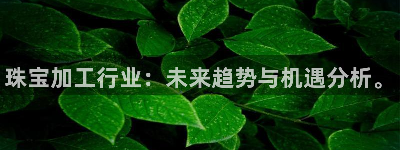 新宝5手机app：珠宝加工行业：未来趋势与机遇分析。