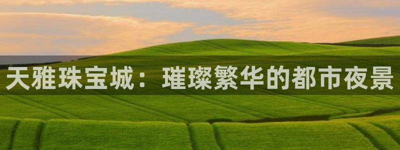 新宝测速5：天雅珠宝城：璀璨繁华的都市夜景