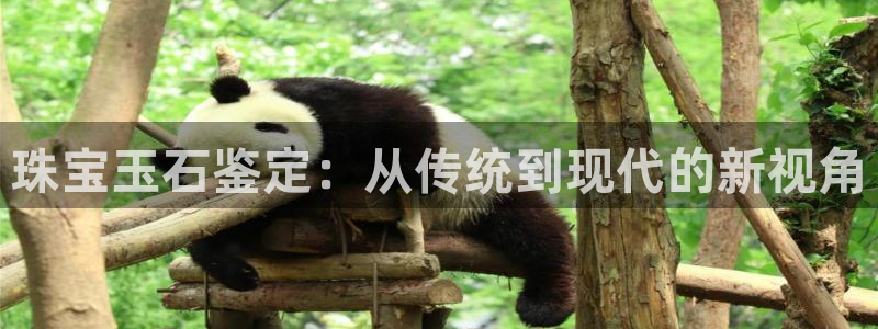 新宝5官网平台：珠宝玉石鉴定：从传统到现代的新视角