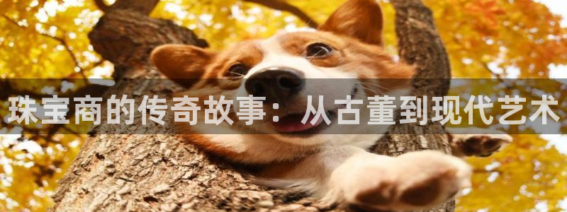 新宝5公司：珠宝商的传奇故事：从古董到现代艺术