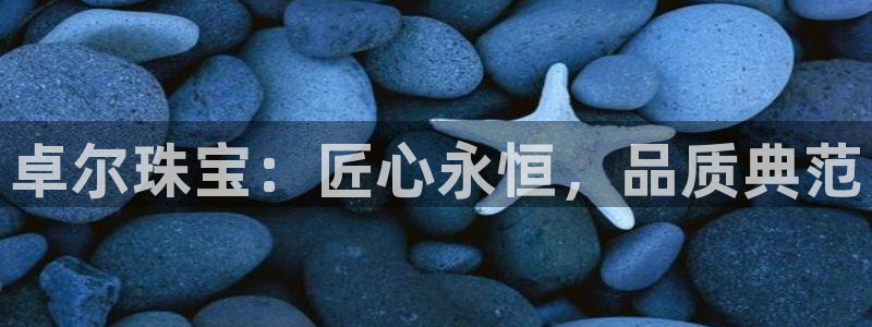 新5宝：卓尔珠宝：匠心永恒，品质典范